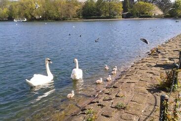 پانسیون Heathfield Place