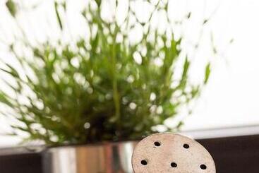 آپارتمان‌های توریست‌ها Apartment Auretta