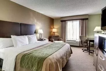 هتل Comfort Inn Pearl Jackson