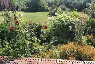 ツーリストアパートメント Pension Ferienwohnung Hillrichshof