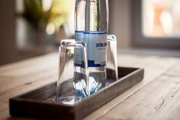 游客公寓 Apartment Senftenberg   1907