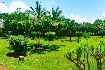 Apartamentos turísticos Villa Dora And Holly