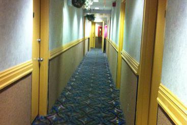 Мотель Linden Motor Inn