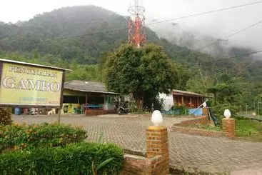 Pensió Penginapan Gambo