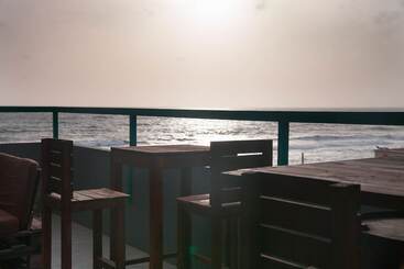 Bunky Monkey   Hostel