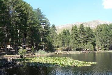 ホテル Hôtel U Pozzu