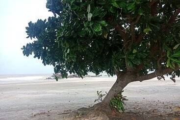 Pensão Gosh Desaru Bed Space