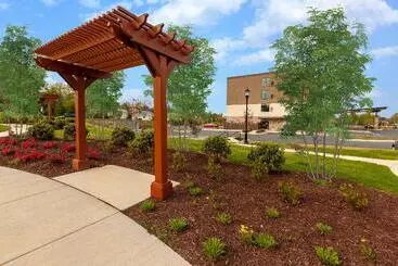 Hotelli Holiday Inn Express & Suites Brunswick Harpers Ferry Area, An Ihg