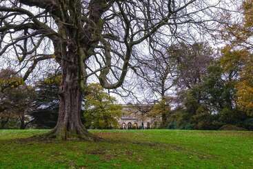 ホテル Alfreton Hall