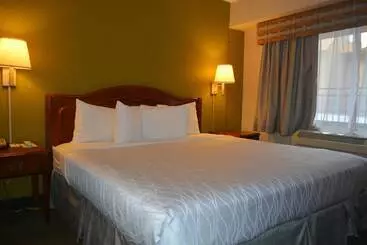 Otel Chicago Lake Shore