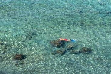 هاستل Adventure House Tenerife