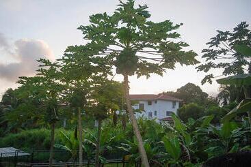 Evergreen Apartments