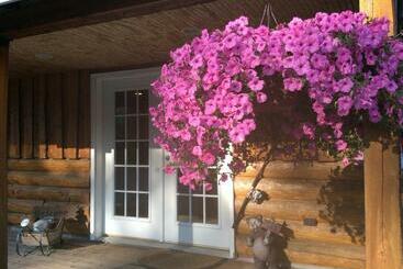 בית מלון כפרי Denali Fireside Cabin & Suites