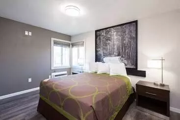 酒店 Super 8 By Wyndham Eureka