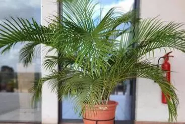 Golden Tulip Agulu Lake Hotel & Resort