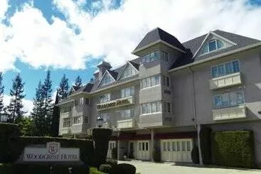 Woodcrest Hotel Cupertino