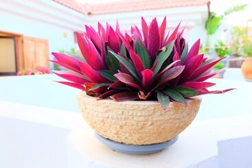 پانسیون La Demeure