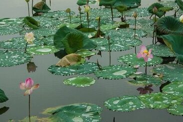 Chaozhou Shifeng Yingbin Inn