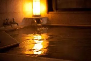 هتل Ryokan Sekiya