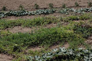 آپارتمان‌های توریست‌ها Villa Vaya