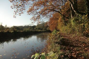 بنسيون Chambres D Hôtes Au Château De Gizeux