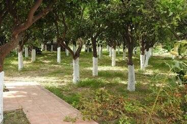 فندق Mouzaliko Guesthouse Mansion