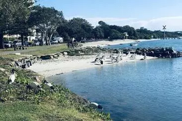 Pensione Xyl Pets Friendly Seaside Boutique Guesthouse