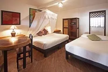 Hotel Posada Buda Tortuga