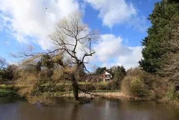 Cwmbach Lodge Luxury B&b