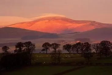 The Gables Luxury Bed & Breakfast