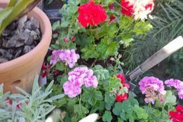 ペンション Casa & Hospedagem Carol