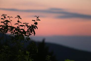 ペンション Guest House Pirosmani 60