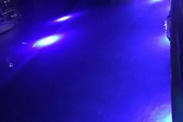 هتل Mamacitas Guest House