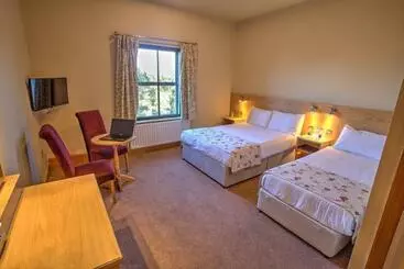 Отель The Lucan Spa