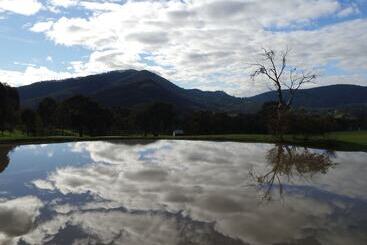 קוטג'' The Black Sparrow