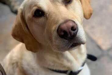 פונדק The Cross Keys