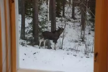 Casa Rurale Sundfall