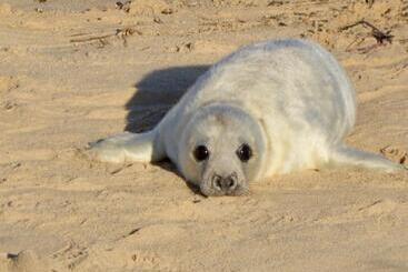 住宿加早餐 Cotenham Barn
