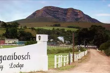 Landhaus Assegaaibosch Country Lodge