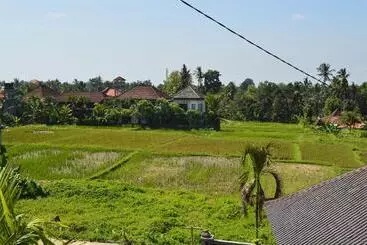 Askara Guest House   Hostel