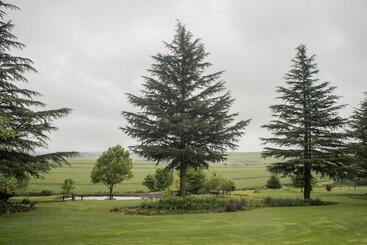 פנסיון Glen Ormond Country House