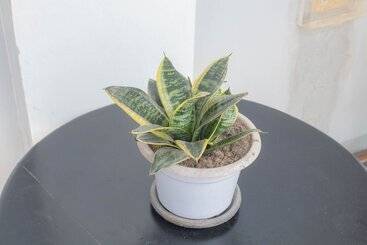 Hotel Vitasolo Hometel & Suite