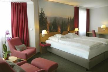 Hotel Schwanen