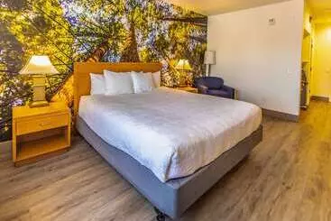 酒店 Comfort Inn Hanford Lemoore