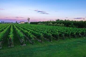 Hotel wiejski Agriturismo Albafiorita