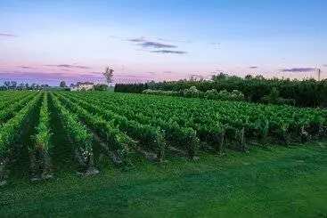 田舎風ホテル Agriturismo Albafiorita