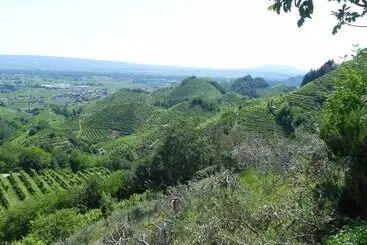 Majatalo Da Meri Tra Le Colline Del Prosecco Docg Locazione Turistica