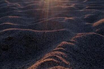 B&b A Due Passi Dal Mare