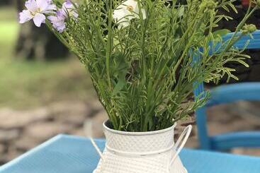 בית מלון כפרי Country House S Ozzastru