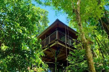 مبيت وإفطار Cairns Rainforest Retreat